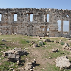 Apamea, Colonnaded Street