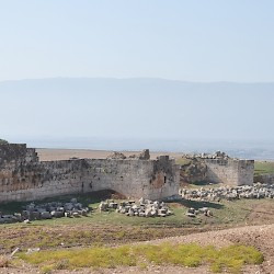 Apamea, Wall