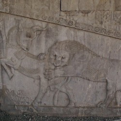 Persepolis, Apadana, East Stairs, Northern part, Lion and bull