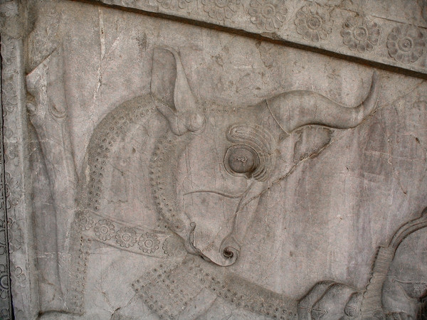 Persepolis, Apadana, East Stairs, Northern part, Bull