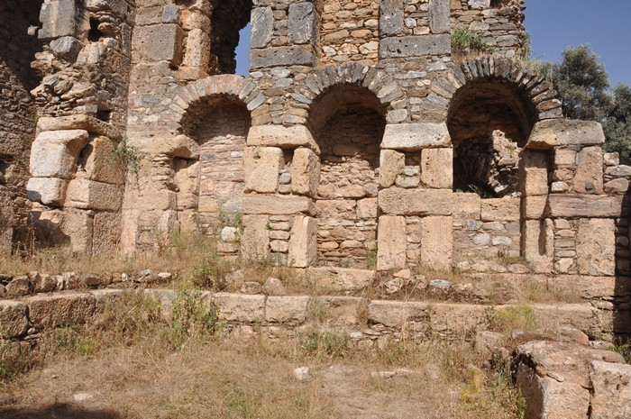Nysa, Library