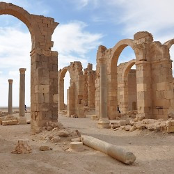 Qasr al-Hayr, Inside