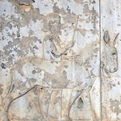 Persepolis, Apadana, East Stairs, Southern part, Indians