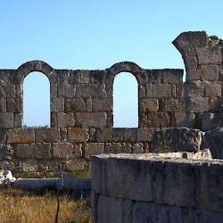 Salamis, Kampanopetra Basilica, Wall