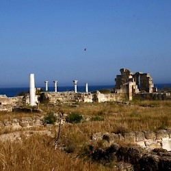Salamis, Kampanopetra Basilica, General view