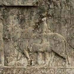 Persepolis, Apadana, North Stairs, Tribute Bearers, Gandarans