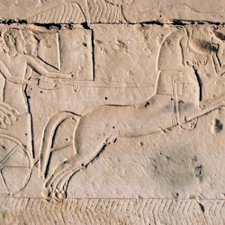 Abydos, Temple of Ramesses II, Kadesh Relief, Hittite Chariot