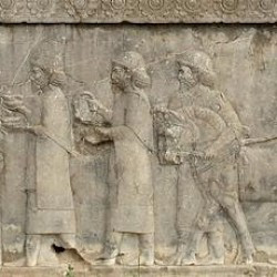 Persepolis, Apadana, North Stairs, Tribute Bearers, Lydians