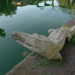 Tivoli, Canopus, Crocodile
