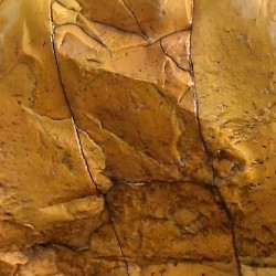 Giallo Antico Marble from Numidia (Rome, Palatine)