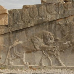 Persepolis, Apadana, North Stairs, Relief of bull and lion