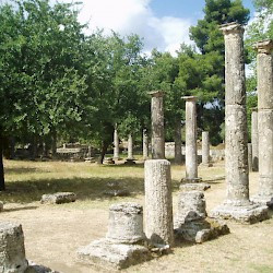 Olympia, Palaestra