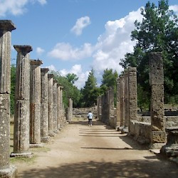 Olympia, Palaestra