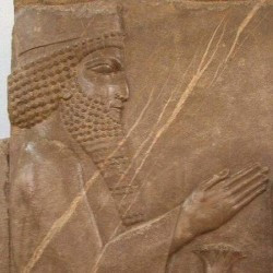 Persepolis, Apadana, Northern Stairs, Central Relief, Prince