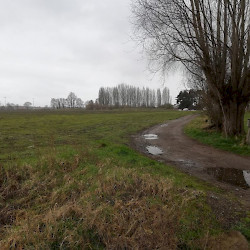 Maldegem-Vake