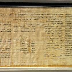 Funerary rites of an Apis