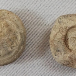 Tigranocerta, Sasanian bullae