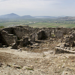 Phoenice, Shops