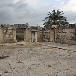 Capernaum, Beth midrash
