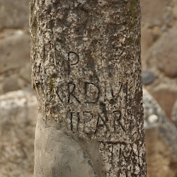 Capernaum, Milestone