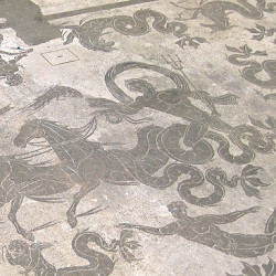 Ostia, Baths of Neptune, Mosaic with Neptune