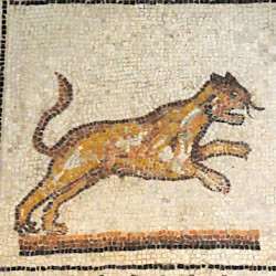 Milan, Forum, Mosaic of a feline