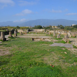 Hippo Regius, Basilica, General view
