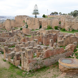 Carthage, Quartier Hannibal, Houses