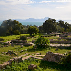 Carthage, Villa of the Cryptoporticus, View