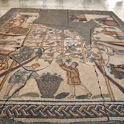 Cherchell, Harvest mosaic