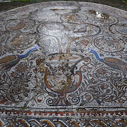 Cherchell, Peacock mosaic