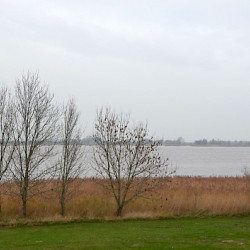 Weser, Estuary