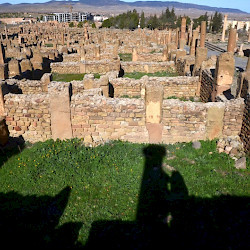 Timgad, Shops (Opus Africanum)