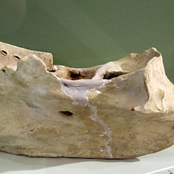 Hadrumetum, Model of a Punic boat