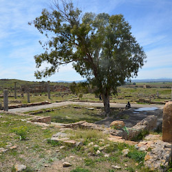 Thuburbo Maius, Macellum