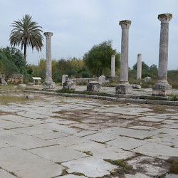 Hippo Regius, Forum, General view