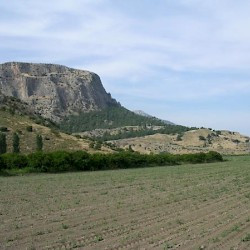 Priene, view from the west