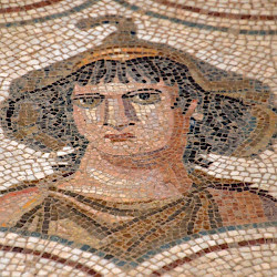 Thysdrus, Maison d'Afrique, Mosaic of Africa