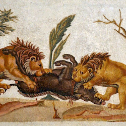 Thysdrus, House of the Dionysiac Procession, Mosaic of lions