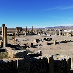 Timgad, Forum, General view