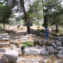Priene, House of Alexander