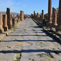 Timgad, Street