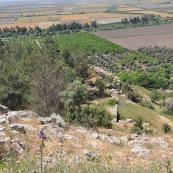 Priene, Western Wall
