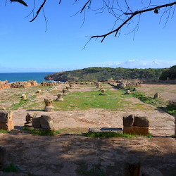 Tipasa, Basilica