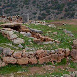 Tiddis, Bazina