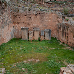 Tiddis, Forum, Office