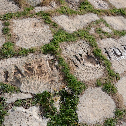 Madauros, Forum, Inscription