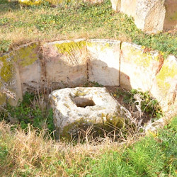 Madauros, House with oil press A, Round basin