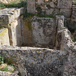 Madauros, House with oil press A, Square basin