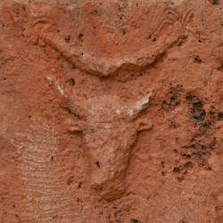 Tiddis, Cave of Mithras, Relief of a bull's head